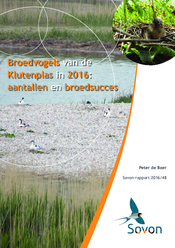 Omslag Broedvogels van de Klutenplas in 2016: aantallen en broedsucces