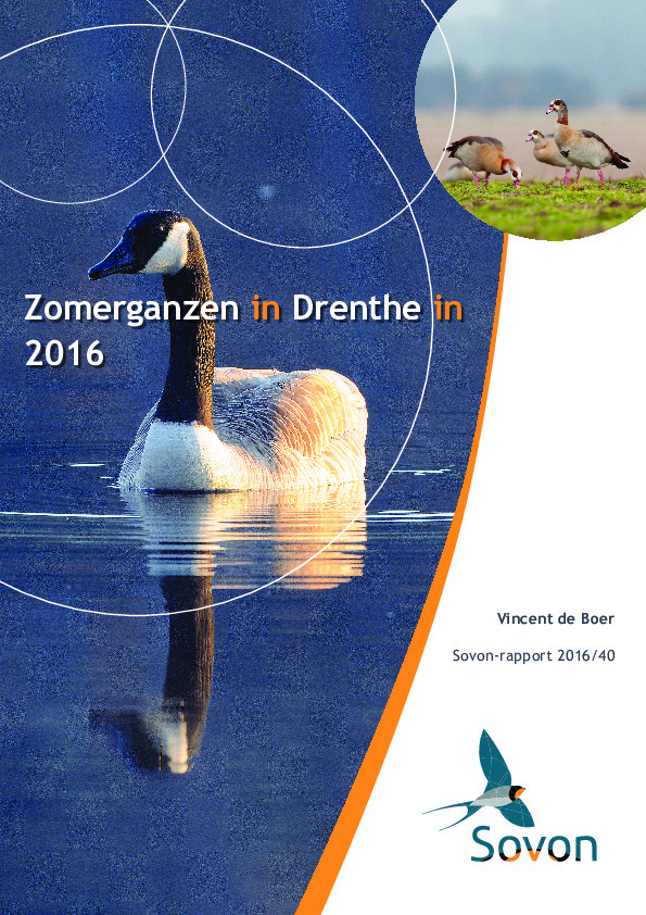 Omslag Zomerganzen in Drenthe in 2016