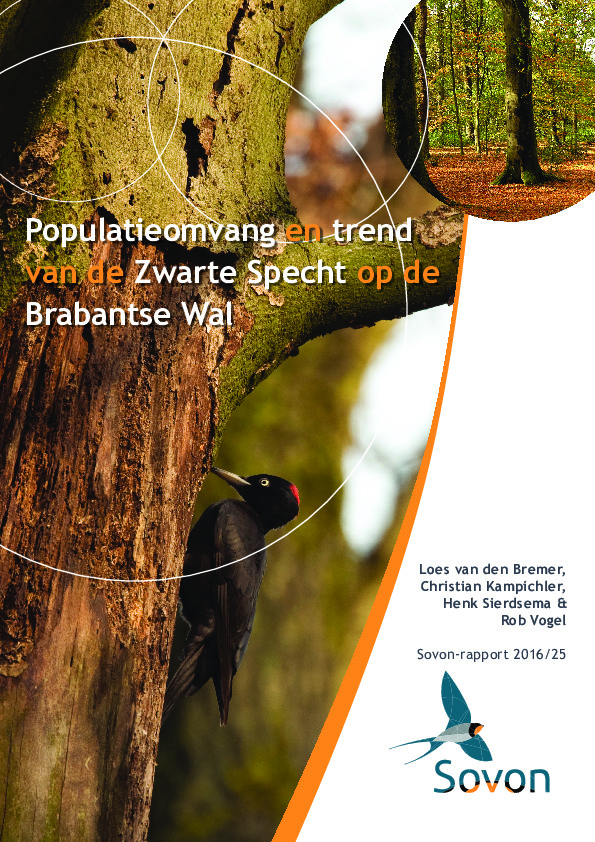 Omslag Populatieomvang en trend van de Zwarte Specht op de Brabantse Wal
