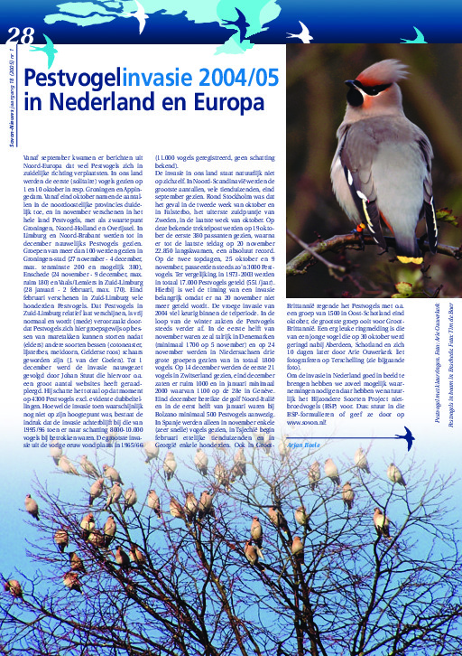 Omslag Pestvogelinvasie 2004/05 in Nederland en Europa