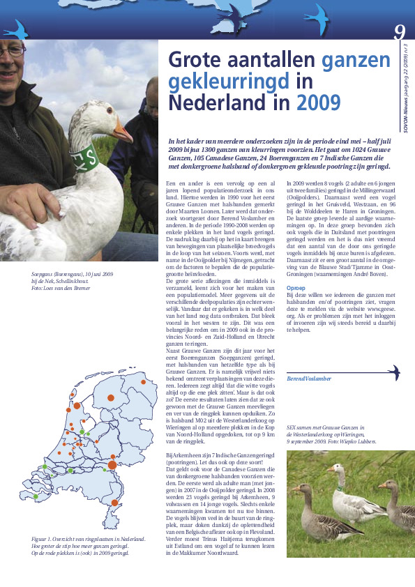 Omslag Grote aantallen ganzen gekleurringd in Nederland in 2009