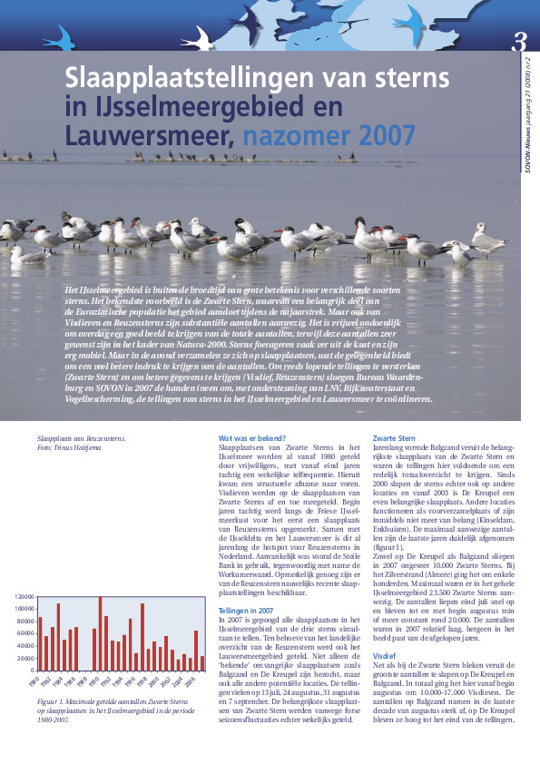 Omslag Slaapplaatstellingen van sterns in IJsselmeergebied en Lauwersmeer, nazomer 2007
