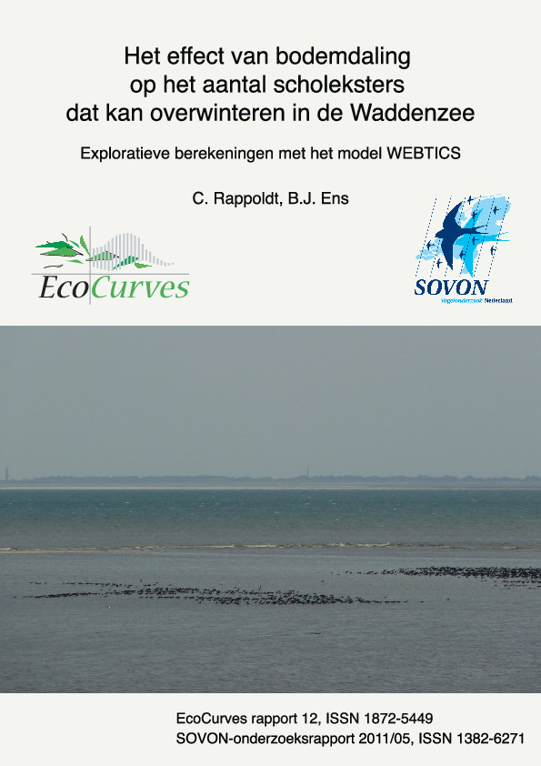 Omslag Het effect van bodemdaling op het aantal Scholeksters dat kan overwinteren in de Waddenzee