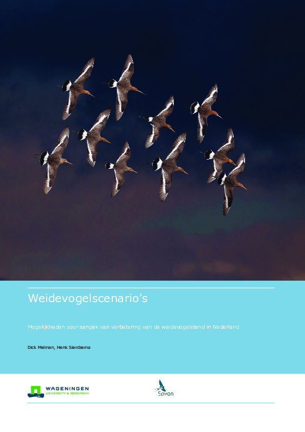 Omslag Weidevogelscenario's. Mogelijkheden voor aanpak van verbetering van de weidevogelstand in Nederland