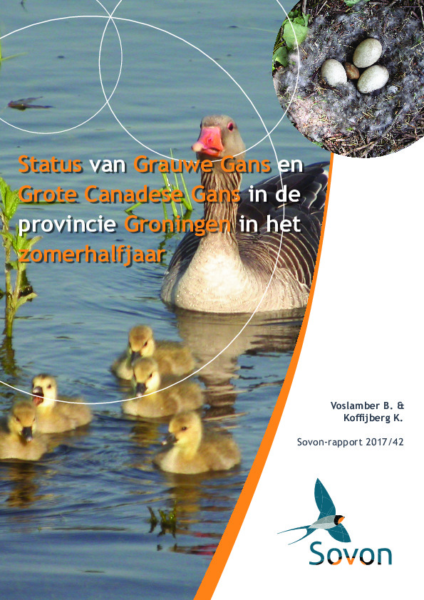 Omslag Status van Grauwe Gans en Grote Canadese Gans in de provincie Groningen in het zomerhalfjaar