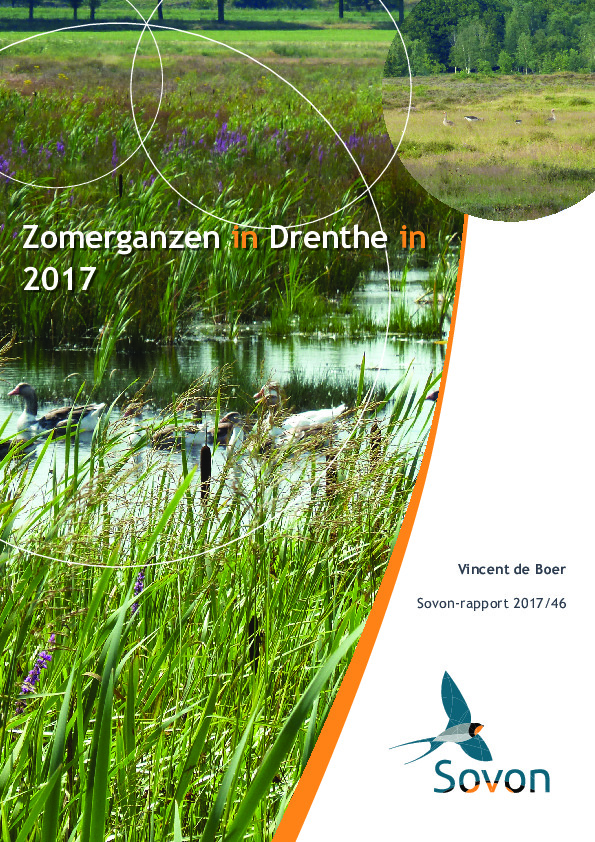 Omslag Zomerganzentelling Drenthe 2017