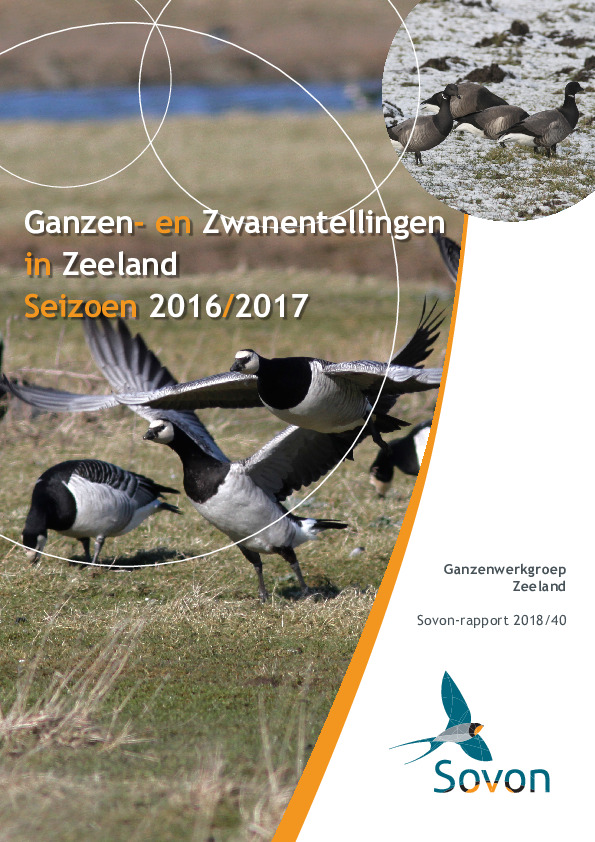 Omslag Ganzen- en Zwanentellingen in Zeeland Seizoen 2016/2017