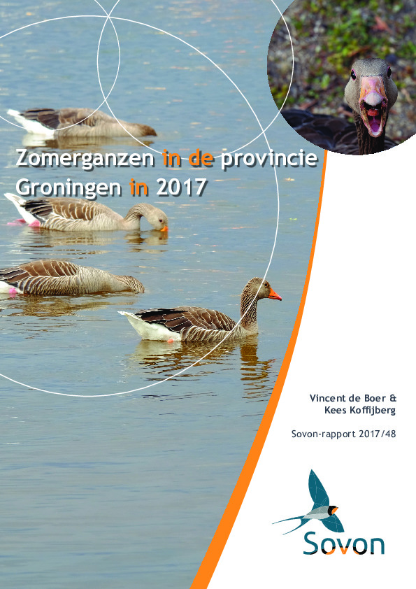 Omslag Zomerganzen in de provincie Groningen in 2017