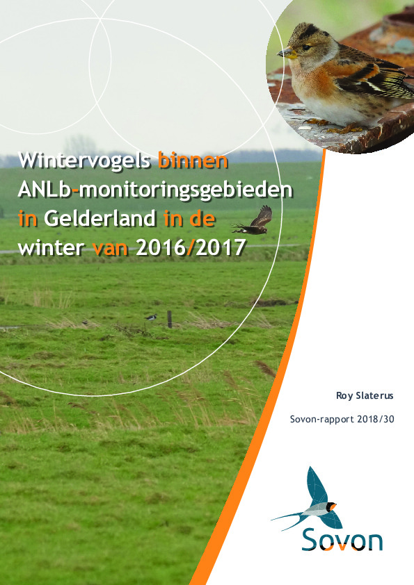 Omslag Wintervogels binnen ANLb-monitoringsgebieden in Gelderland in de winter van 2016/17