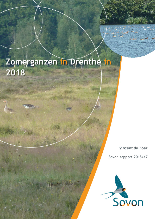 Omslag Zomerganzen in Drenthe in 2018