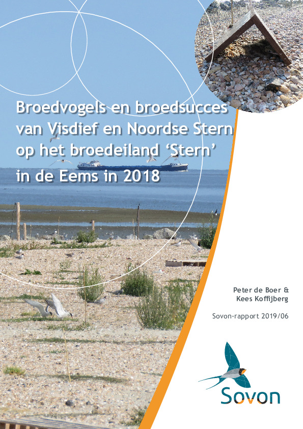 Omslag Broedvogels en broedsucces van Visdief en Noordse Stern op het broedeiland ‘Stern’ in de Eems in 2018