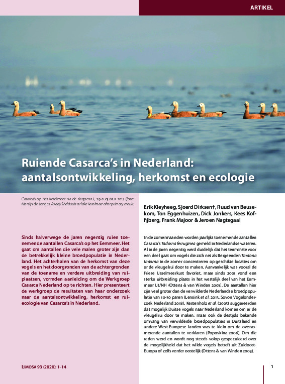 Omslag Ruiende Casarca’s in Nederland: aantalsontwikkeling, herkomst en ecologie