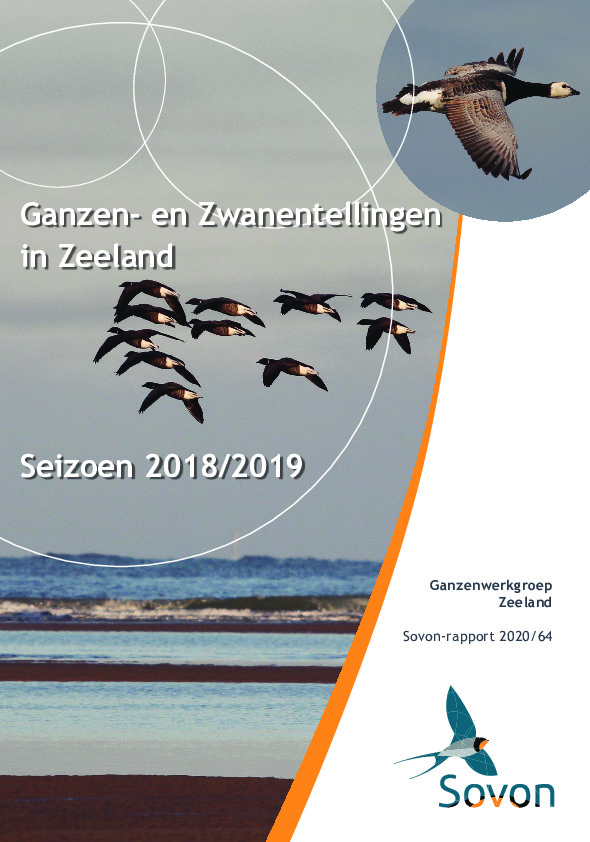 Omslag Ganzen- en Zwanentellingen in Zeeland  Seizoen 2018/2019