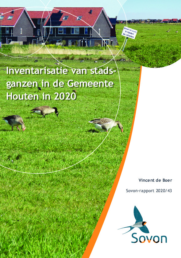 Omslag Inventarisatie van stadsganzen in de Gemeente Houten in 2020