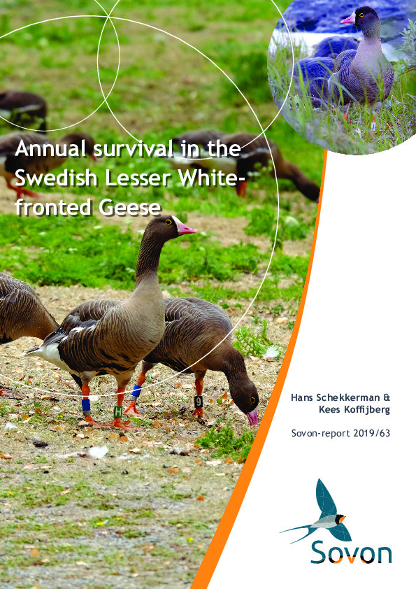 Omslag Annual survival of Swedish Lesser White-fronted Geese