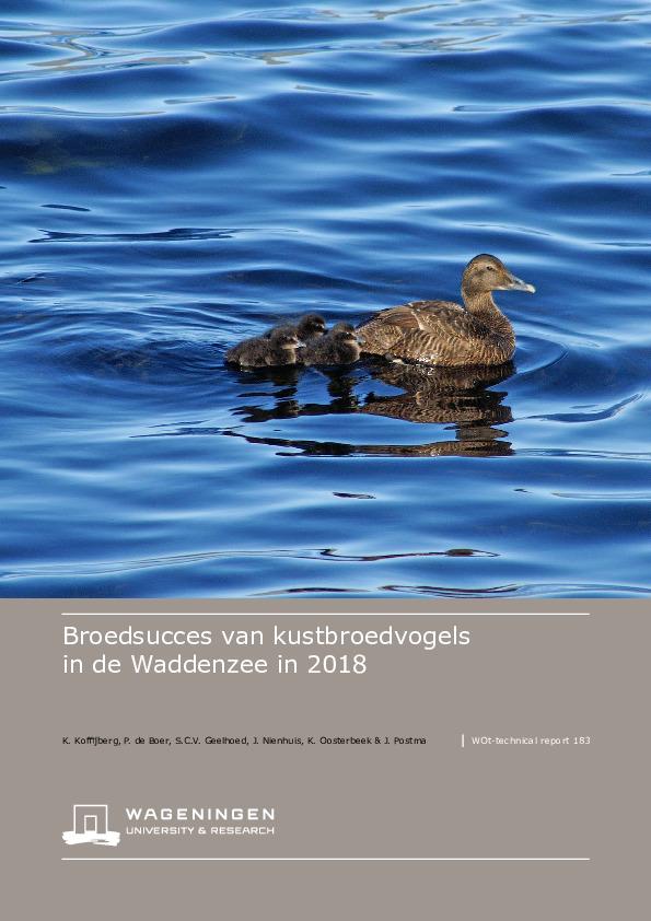 Omslag Broedsucces van kustbroedvogels in de Waddenzee in 2018
