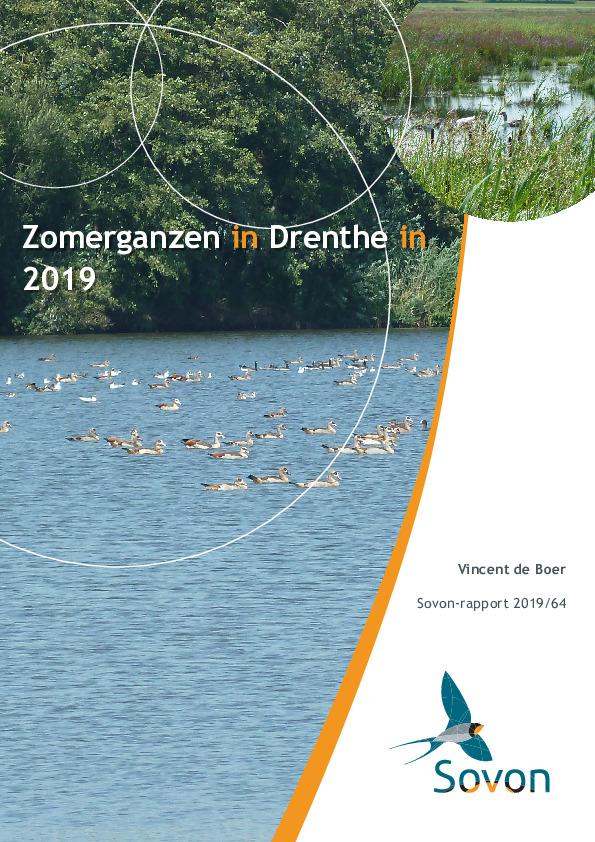 Omslag Zomerganzen in Drenthe in 2019