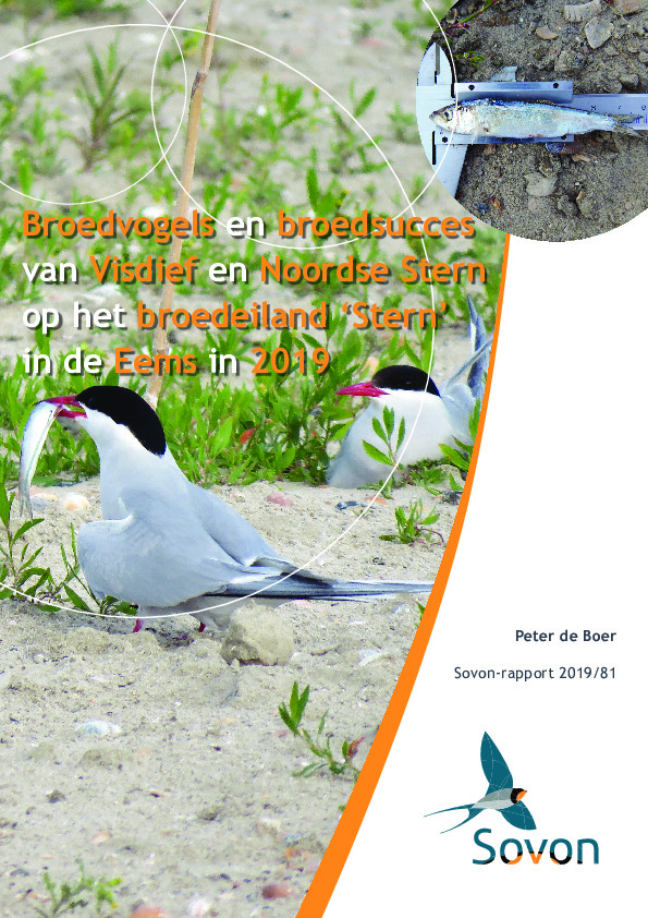 Omslag Broedvogels en broedsucces van Visdief en Noordse Stern op broedeiland ‘Stern’ in 2019