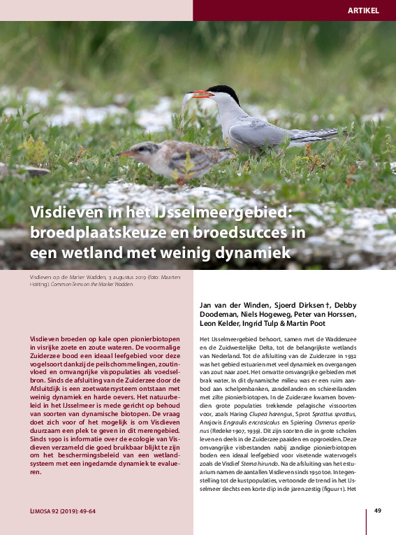 Omslag Visdieven in het IJsselmeergebied: broedplaatskeuze en broedsucces in een wetland met weinig dynamiek