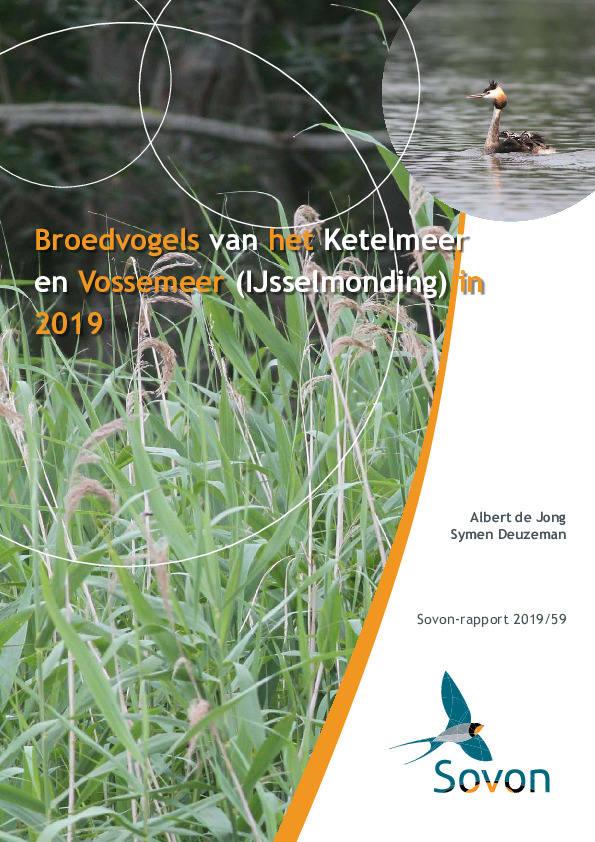 Omslag Broedvogelinventarisatie IJsselmonding 2019