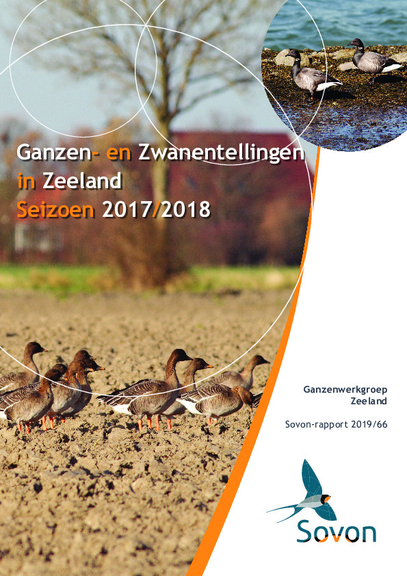 Omslag Ganzen- en Zwanentellingen in Zeeland Seizoen 2017/2018