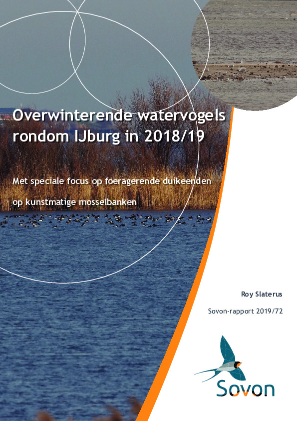 Omslag Overwinterende watervogels rondom IJburg in 2018/19