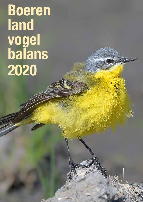 Omslag Boerenlandvogelbalans 2020