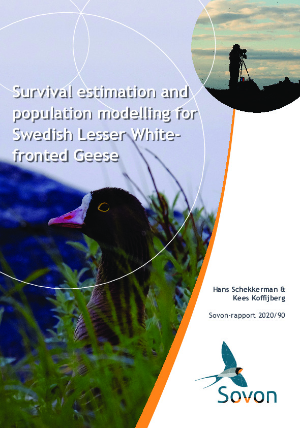Omslag Annual survival estimation and population modelling for Swedish Lesser White-fronted Geese