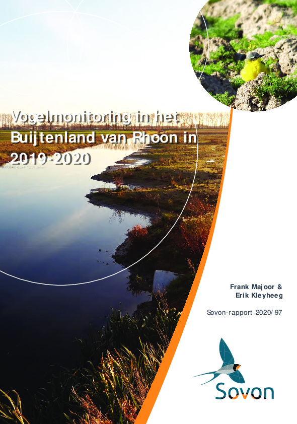 Omslag Vogelmonitoring in het Buijtenland van Rhoon in 2019-2020