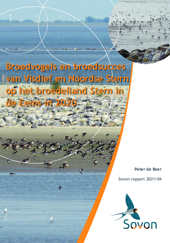 Omslag Broedvogels en broedsucces van Visdief en Noordse Stern op broedeiland Stern in 2020