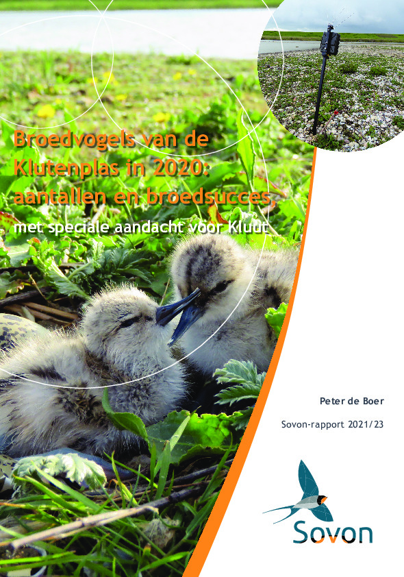 Omslag Broedvogels van de Klutenplas in 2020: aantallen en broedsucces, met speciale aandacht voor Kluut