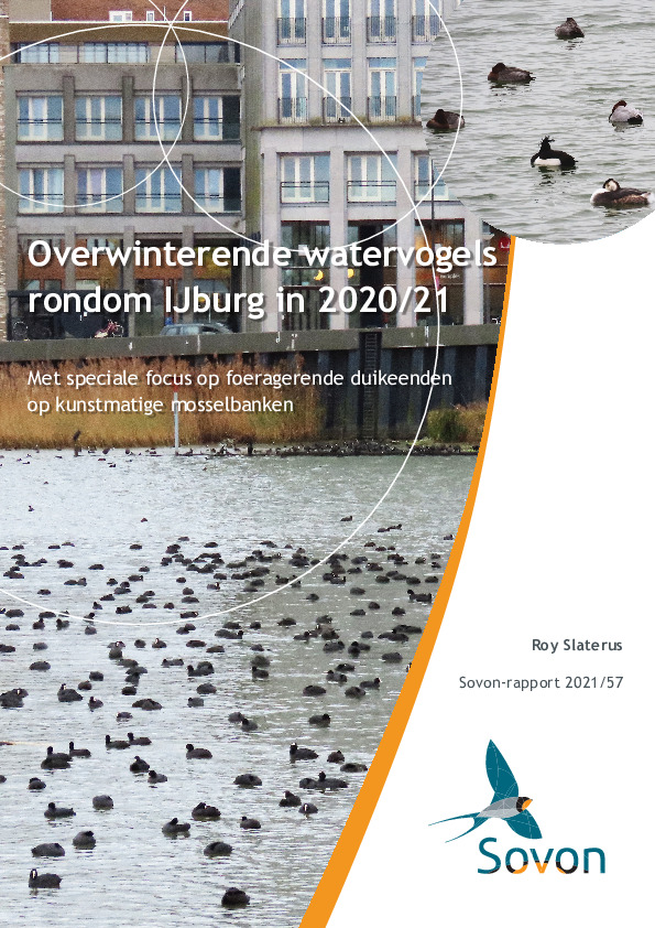Omslag Overwinterende watervogels rondom IJburg in 2020/21