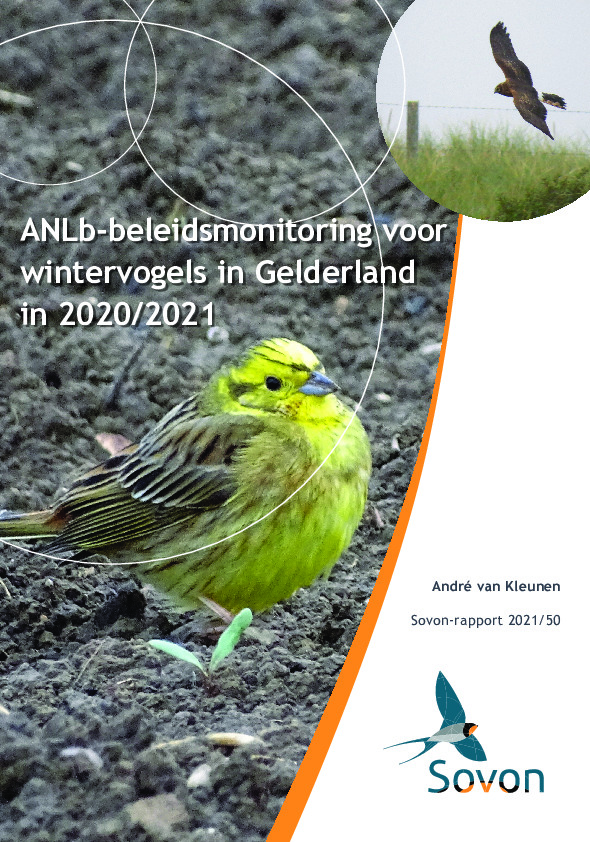 Omslag ANLb-beleidsmonitoring voor wintervogels in Gelderland in 2020/2021