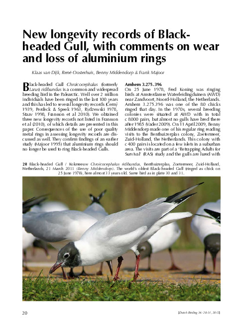Omslag New longevity records of Black-headed Gull, with comments on wear and loss of aluminium rings