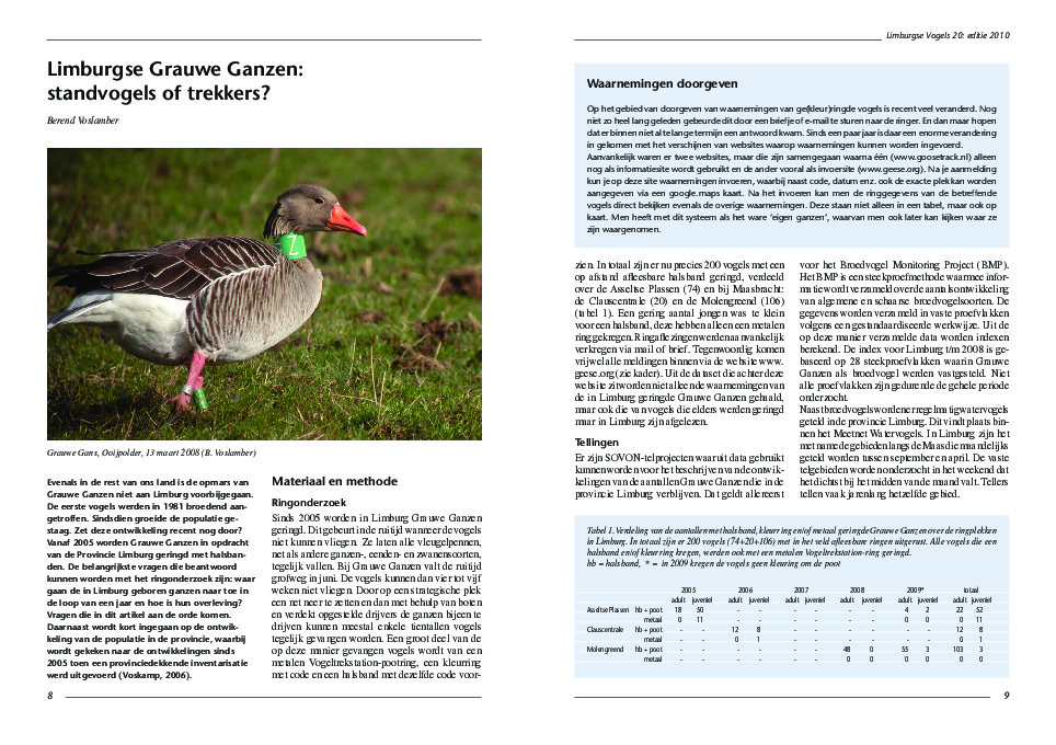 Omslag Limburgse Grauwe Ganzen: standvogels of trekkers?