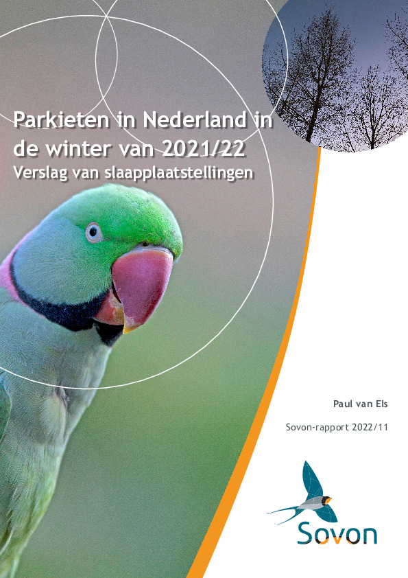 Omslag Parkieten in Nederland in de winter van 2021/22 Verslag van slaapplaatstellingen