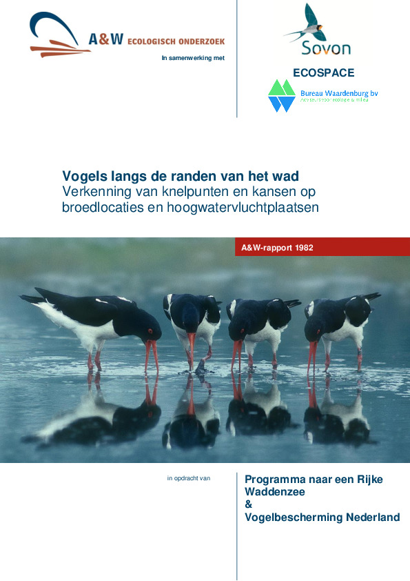 Omslag Vogels langs de randen van het wad, Verkenning van knelpunten en kansen op broedlocaties en hoogwatervluchtplaatsen