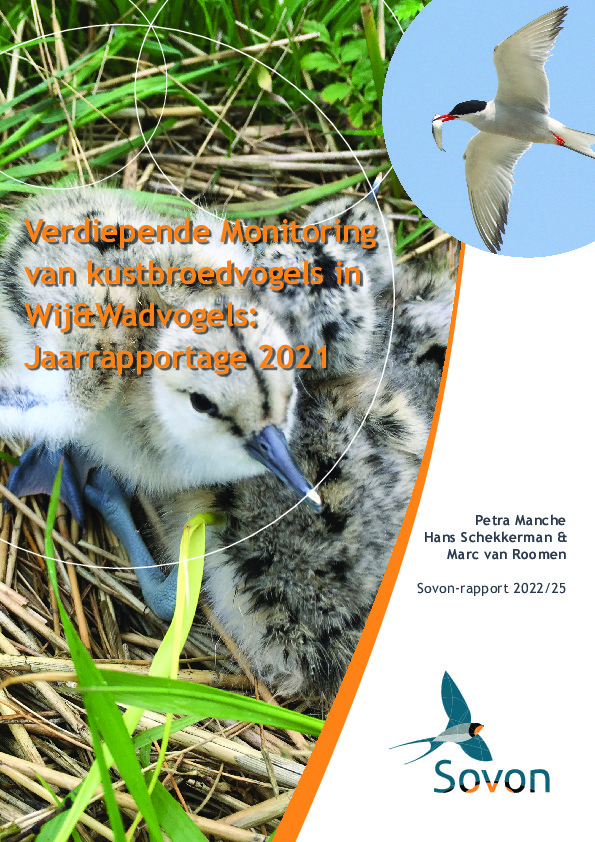 Omslag Verdiepende Monitoring van kustbroedvogels in Wij&Wadvogels: jaarrapportage 2021