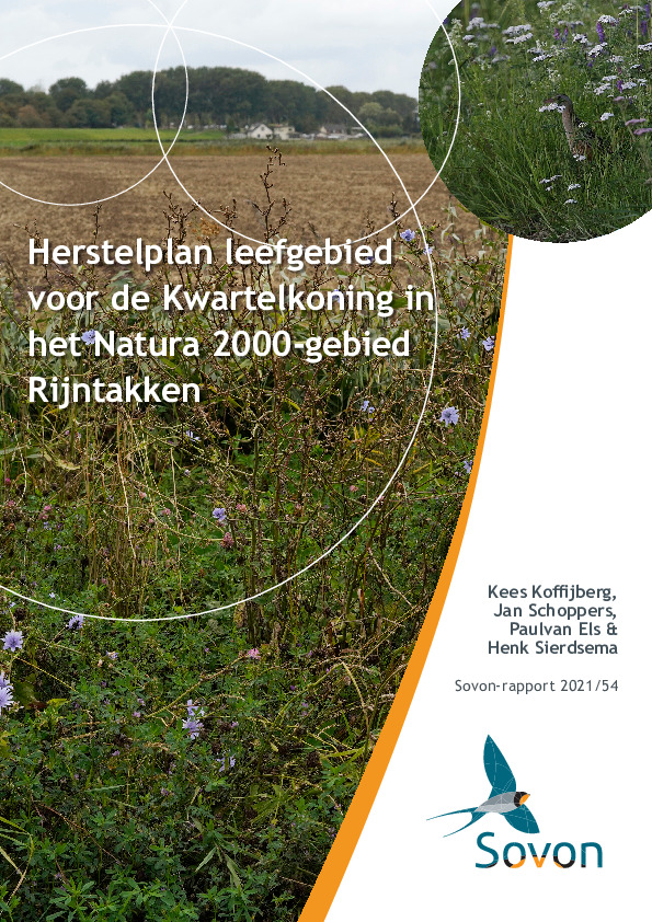 Omslag Herstelplan leefgebied voor de Kwartelkoning in het Natura 2000-gebied Rijntakken