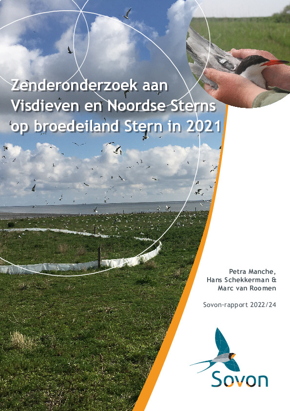 Omslag Zenderonderzoek aan Visdieven en Noordse Sterns op broedeiland Stern in 2021