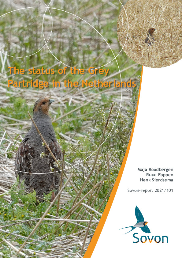 Omslag The status of the Grey Partridge in the Netherlands
