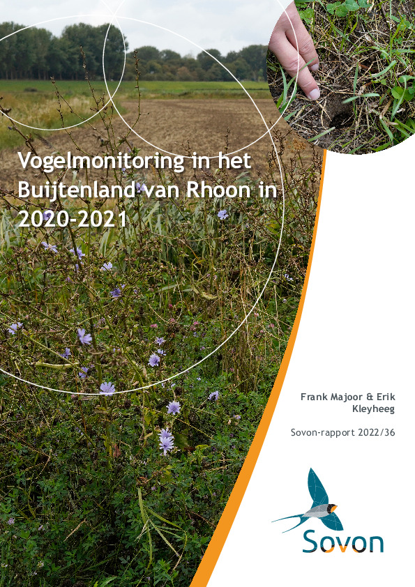 Omslag Vogelmonitoring in het Buijtenland van Rhoon in 2020-2021