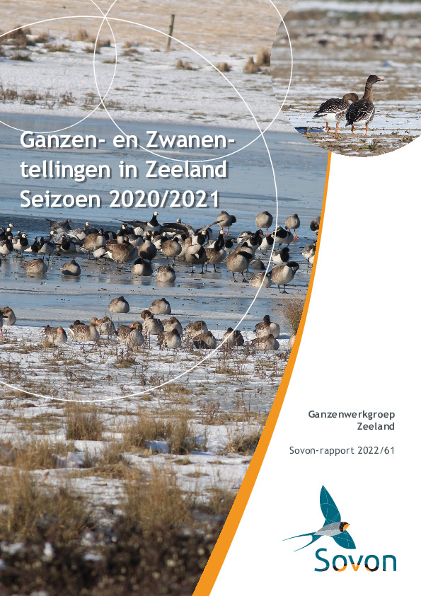 Omslag Ganzen- en Zwanentellingen in Zeeland Seizoen 2020/2021