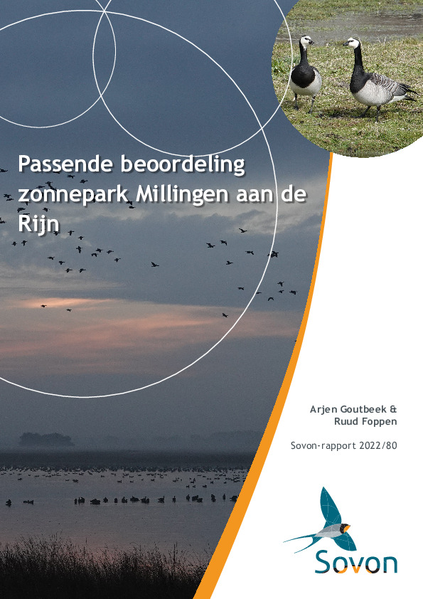 Omslag Passende beoordeling zonnepark Millingen aan de Rijn