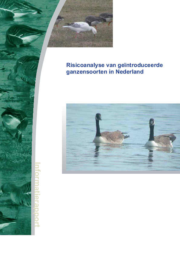 Omslag Risicoanalyse van geïntroduceerde ganzensoorten in Nederland
