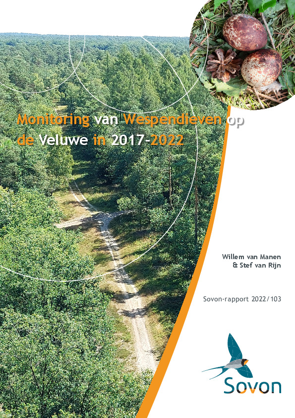 Omslag Monitoring van Wespendieven op de Veluwe in 2017-2022