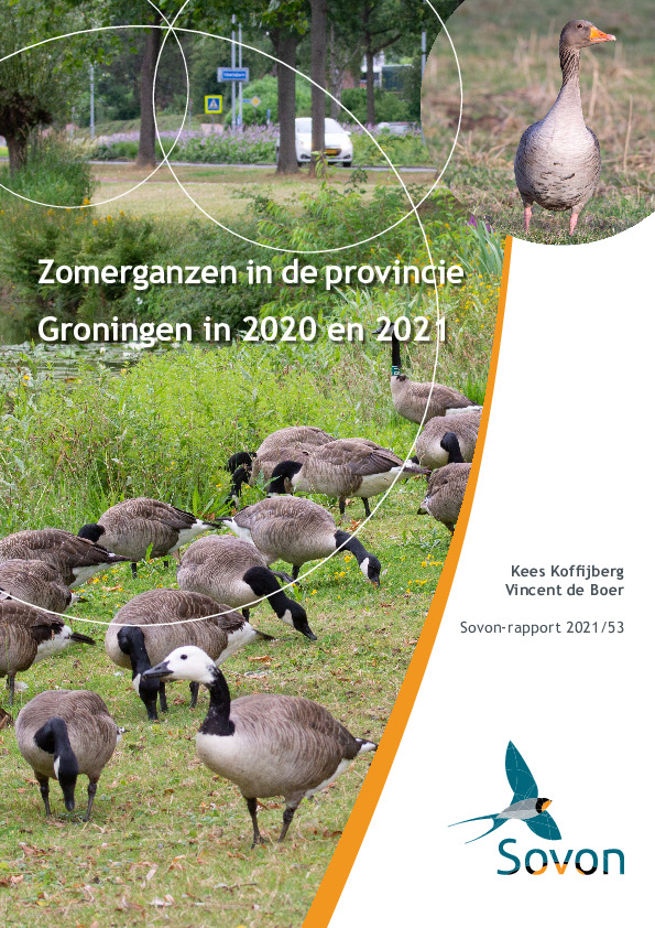 Omslag Zomerganzen in de provincie Groningen in 2020 en 2021