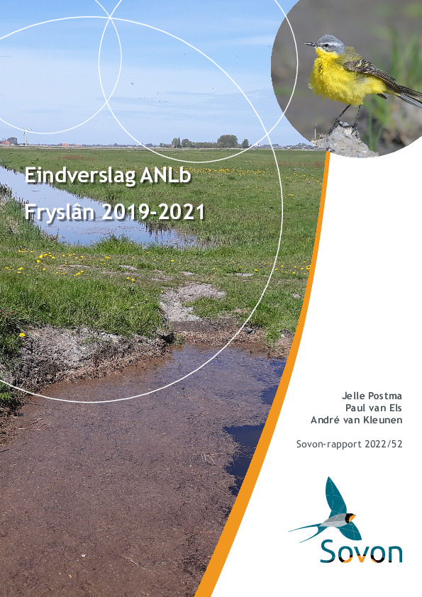 Omslag Eindverslag ANLb Fryslan 2019-2020
