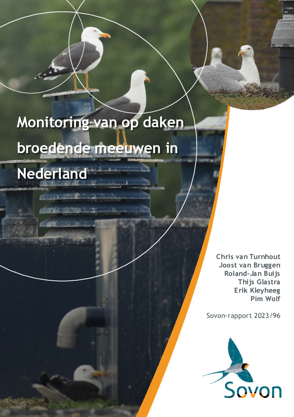Omslag Monitoring van op daken broedende meeuwen in Nederland