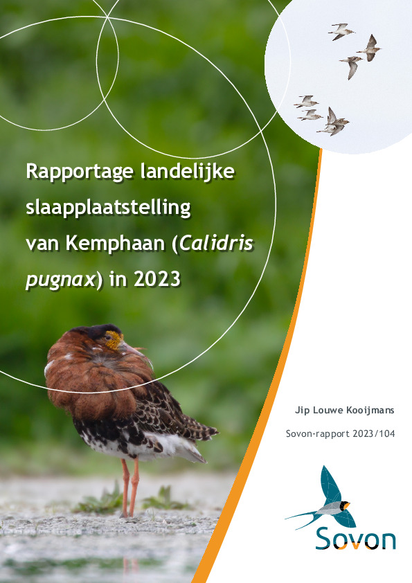 Omslag Rapportage landelijke slaapplaatstelling van Kemphaan (Calidris pugnax) in 2023